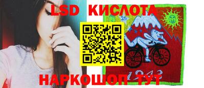 шишки Нарткала