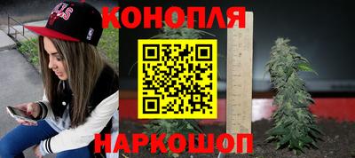 шишки Нарткала