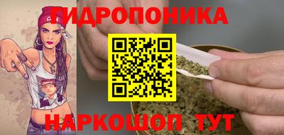 шишки Нарткала