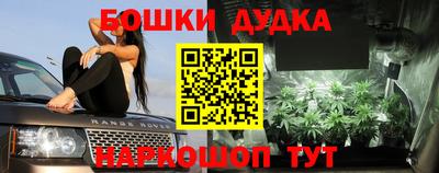шишки Нарткала