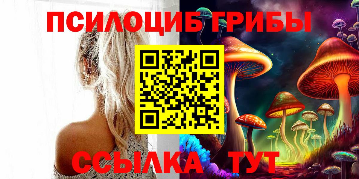 Советская Гавань  Галлюциногенные грибы прущие грибы  Вход с VPN 